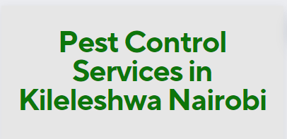 fumigation service cost in Kileleshwa, fumigation cost in Kileleshwa, fumigation prices in Kileleshwa, fumigation price in nairobi, pest control charges in Kileleshwa, pest control cost in Kileleshwa, bees control services in Kileleshwa, bed bugs control services in Kileleshwa, termite control services in Kileleshwa, cockroach control services in Kileleshwa, pest control cost in Kileleshwa fumigation charge in mombasa, bees removal service near me Kileleshwa, bees removal service in Kileleshwa, bees removal service chemical, bees removal chemical, termite control pesticide Kileleshwa, termite control insecticide, best chemical for bed bugs in Kileleshwa, best insecticide for bed bugs in Kileleshwa, pest control services near me, bed bugs control services near me. pest control services in meru,fumigation services in Kileleshwa,pest control Kileleshwa, bed bugs in Kileleshwa, bed bugs in Kileleshwa town, fumigation of bed bugs in Kileleshwa, eliminating bed bugs in Kileleshwa, pest control in Kileleshwa town, we are the solution for fumigation services in Kileleshwa, we cover bed bugs, and snakes, Pest control companies in Kileleshwa, Best pest control services in Kileleshwa, Pest removal services in Kileleshwa, Professional pest control in Kileleshwa, Affordable pest control services in Kileleshwa, Residential pest control in Kileleshwa, Commercial pest control in Kileleshwa, Emergency pest control in Kileleshwa, Rodent control in Kileleshwa, Termite control in Kileleshwa, Bed bug treatment in Kileleshwa, Cockroach control in Kileleshwa, Flea and tick treatment in Kileleshwa, Mosquito control services in Kileleshwa, Integrated pest management in Kileleshwa, Eco-friendly pest control in Kileleshwa, Local pest control services Kileleshwa, Pest inspection services in Kileleshwa, Pest extermination in Kileleshwa, Pest prevention services in Kileleshwa, Ecofumitech pest control services in Nairobi Kenya